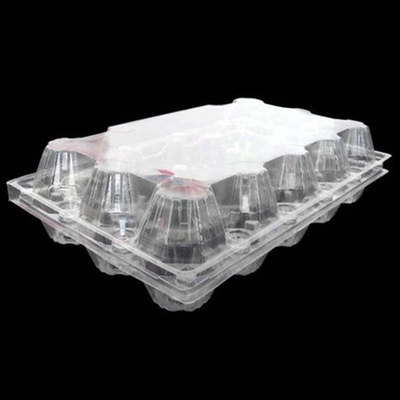 15 بسته سینی تخم مرغ پلاستیکی شفاف PET یکبار مصرف 71 میلی متری جای سینی تخم مرغ مربعی