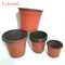 Parlor Palm 5.5cm Dia Mini Plastic Pots Opening Dia Mini Plastic Pots Indoor Plant Pots ارتفاع 5cm