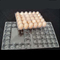 15 بسته سینی تخم مرغ پلاستیکی شفاف PET یکبار مصرف 71 میلی متری جای سینی تخم مرغ مربعی