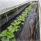تشک باغبانی ضد علف هرز از جنس پلی اتیلن PP بافته شده 4 میلی متر