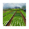 160 سوراخ شناور EPS EPP پنبه برای رشد سبزیجات گیاه سفید