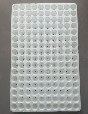 سینی نشاء شناور گرد 160 سلولی