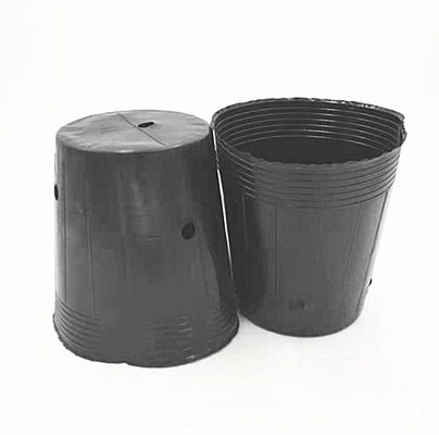 گلدان پرورش پلاستیکی HDPE دانه پیاز رشد گلدان های سیاه برای گلخانه