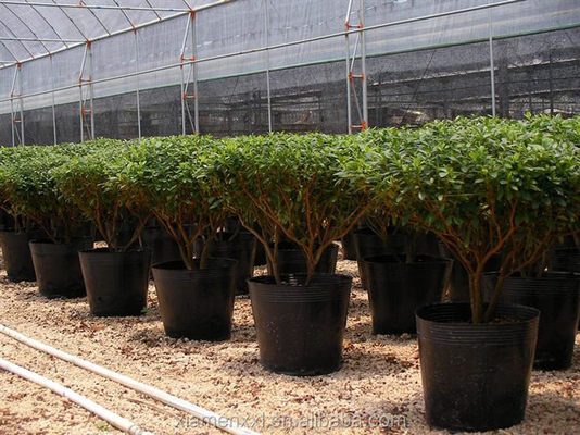 سینی های کودک با کیفیت بالا PE ماده پلاستیکی سیاه سینی های کودک نرم