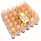 9 عدد جای تخم مرغ پلاستیکی انباشته شده 152 میلی متری انکوباتور مربع سینی تنظیم تخم مرغ