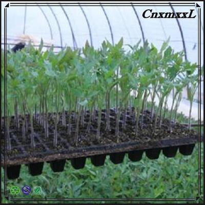 سینی نشاء پلاستیکی 2 میلی‌متری با 32، 50، 98، 108، 118 و 200 سلول برای نهال‌های جنگلی - مقاوم در برابر پیری و بادوام