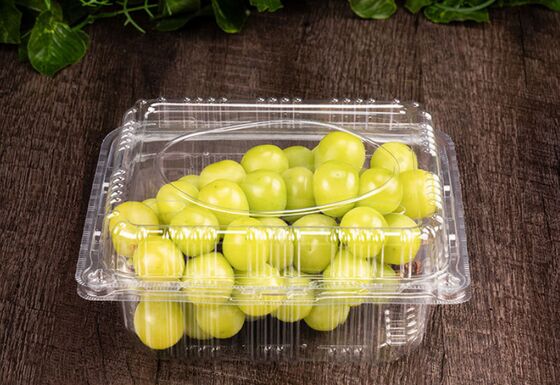 Customized Design Recyclable PET Fruit Packaging Box with Heat Sealing for Tomatoes and Grapes