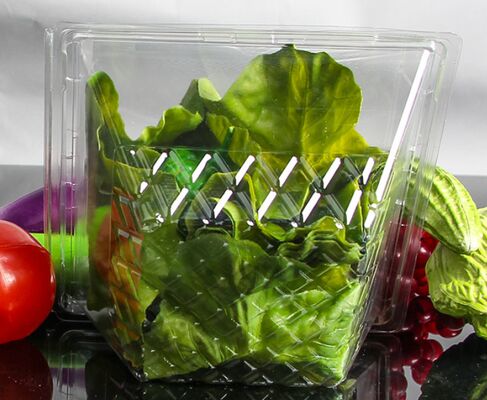 Customizable Recyclable Transparent Packaging Box with Heat Sealing for Vegetables and Fruits