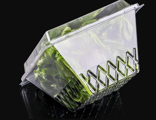Customized Design Recyclable PET Plastic Blister Packaging with Heat Sealing for Fruit Packaging Box