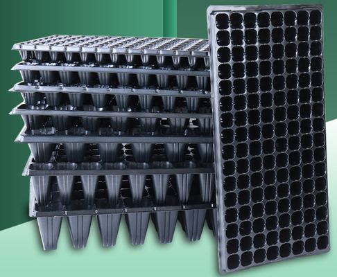 سینی شروع دانه سینی شروع دانه سینی پلاستیکی سینی PVC