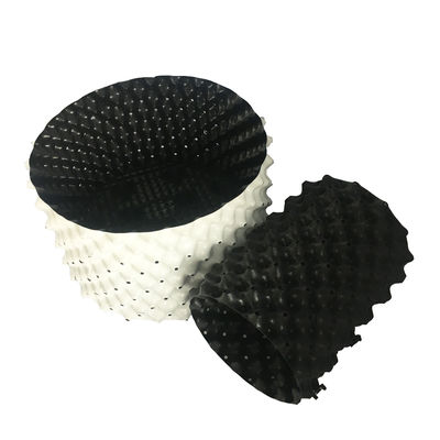 ریشه گیاه هرس ظرف کانتینر