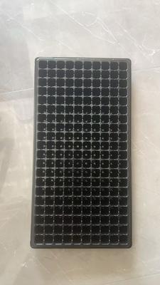 سینی نشاء 2 میلی‌متری با 200 سلول، سینی کاشت